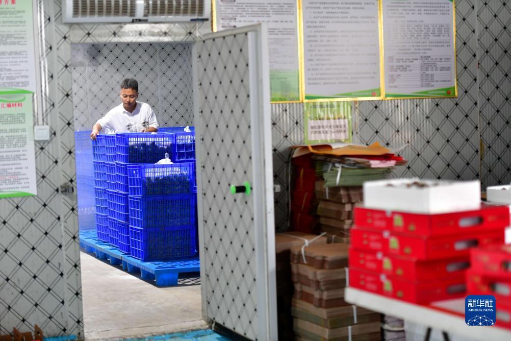 常熟棋牌大厅下载